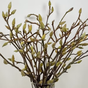 696417053585ae8fe5fe080c