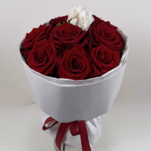 698247504a1ca46e451e6267