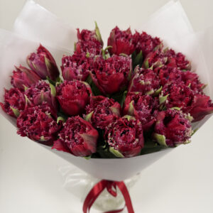 product tulips mascotte rouge bolt